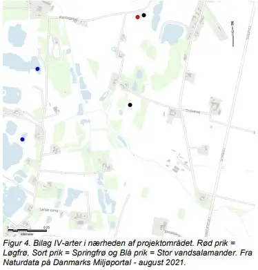 Figur 4. Bilag IV-arter i n&aelig;rheden af projektomr&aring;det. R&oslash;d prik = L&oslash;gfr&oslash;, Sort prik = Springfr&oslash; og Bl&aring; prik = Stor vandsalamander. Fra Naturdata p&aring; Danmarks Milj&oslash;portal - august 2021.
